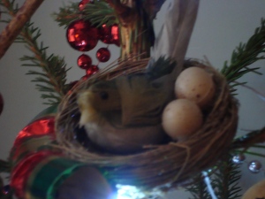 Cosy Christmas Nest! (c) Sherri Matthews 2013