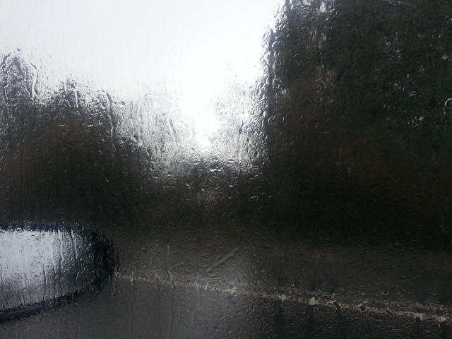 View from my car window during the storm. (c) Sherri Matthews 2014