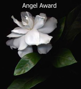 doncharisma-org-award-angel_edited-1