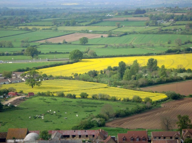 View of Somerset fields Spring 2014 (c) Sherri Matthews 2014