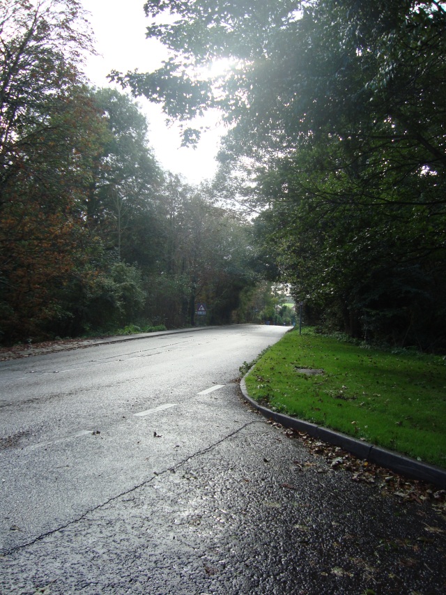 The curve in the road - Suffolk October 2011 (c) Sherri Matthews