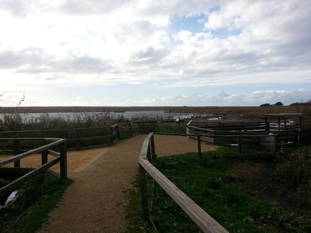 Views of Lyme Bay (c) Sherri Matthews 2014