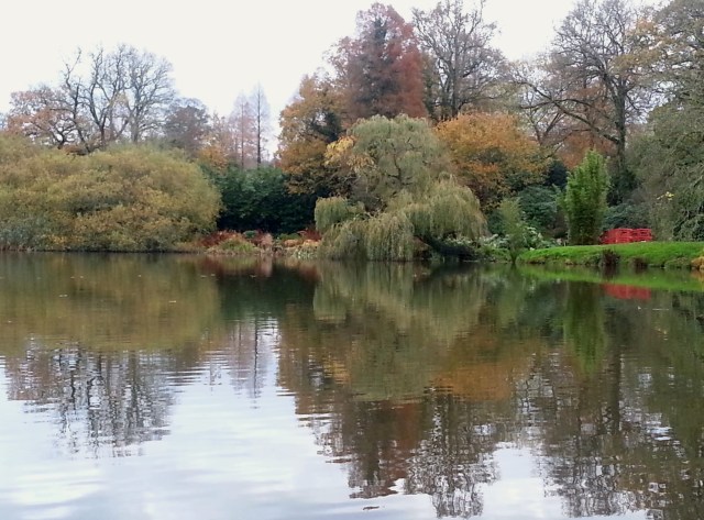 Forde Abbey Gardens - November 2014 (c) Sherri Matthews