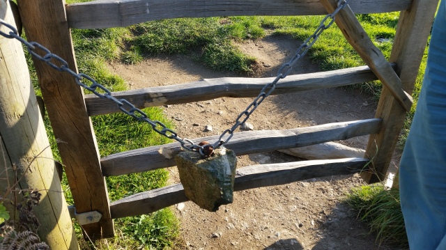 This gate is weighted witha heavy rock attached to a chain to make it swings shut whenever some walks through, so making sure the cattle stay put in their field. They know their boundaries, and so should we... (c)Sherri Matthews 2015