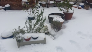 Beast From the East March 2018 (15)